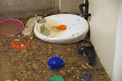 Aichtal: Fast 100 Einsaetze fuer die Feuerwehr